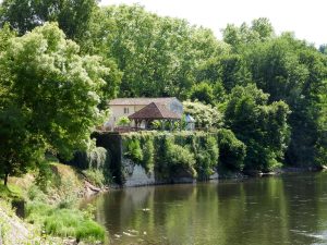 Méandre à Pessac-sur-Dordogne