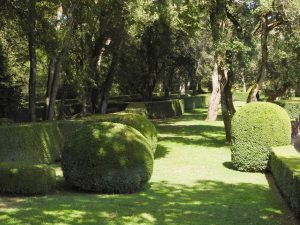 Jardin de Marquessac